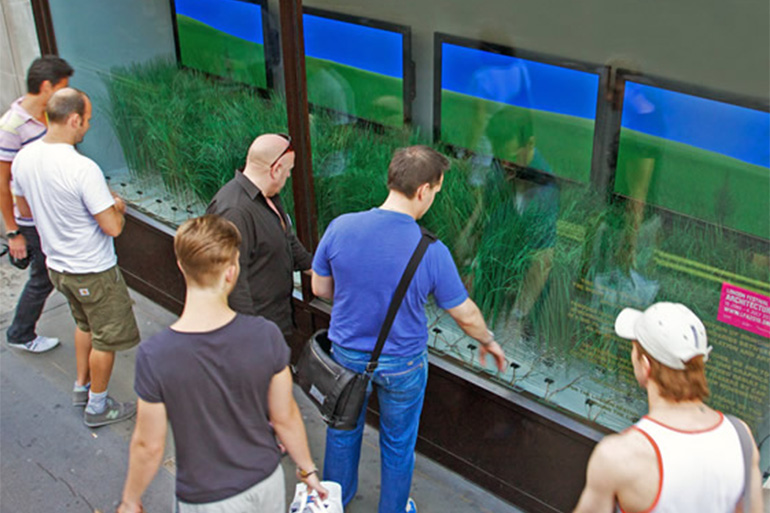 Vitrine interactive : la prairie urbaine